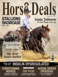horse deals